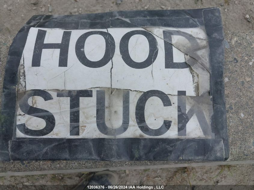 2007 Ford Mustang VIN: 1ZVFT84N075330706 Lot: 12036376