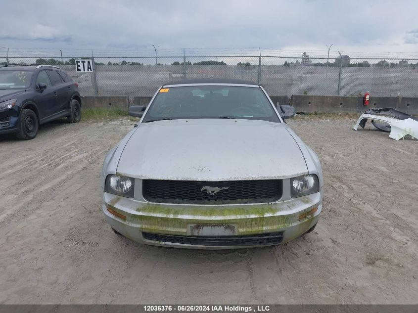 2007 Ford Mustang VIN: 1ZVFT84N075330706 Lot: 12036376