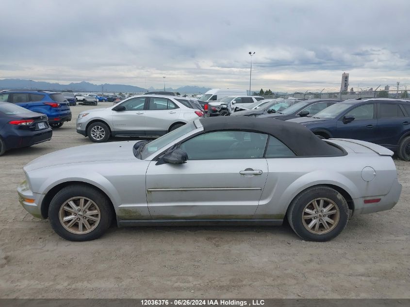 2007 Ford Mustang VIN: 1ZVFT84N075330706 Lot: 12036376