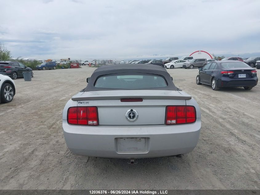 2007 Ford Mustang VIN: 1ZVFT84N075330706 Lot: 12036376