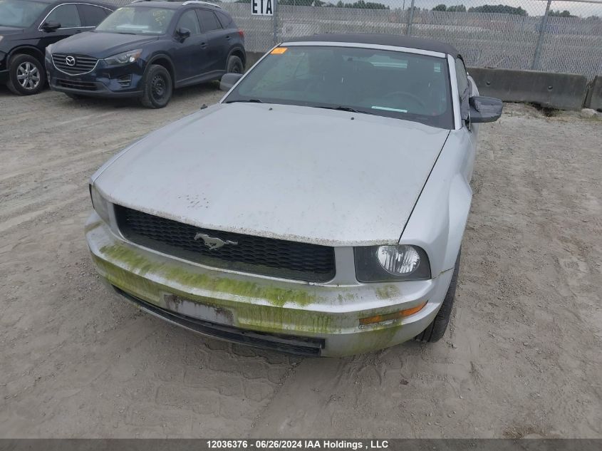 2007 Ford Mustang VIN: 1ZVFT84N075330706 Lot: 12036376
