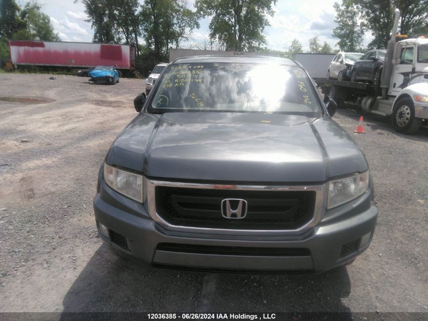 2010 Honda Ridgeline VIN: 5FPYK1F40AB501641 Lot: 12036385