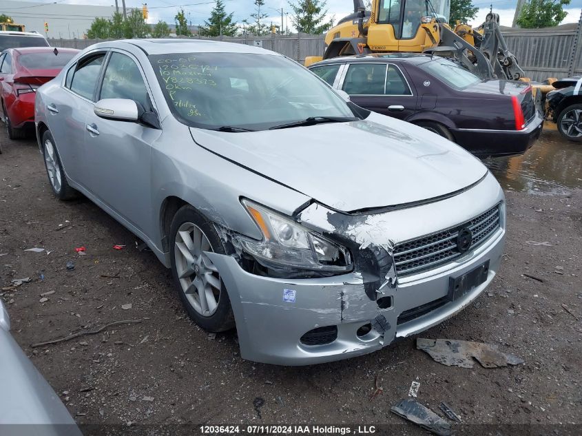 2010 Nissan Maxima 3.5 Sv VIN: 1N4AA5AP2AC828373 Lot: 12036424