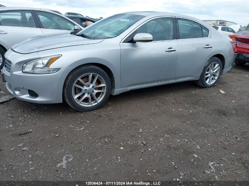 2010 Nissan Maxima 3.5 Sv VIN: 1N4AA5AP2AC828373 Lot: 12036424