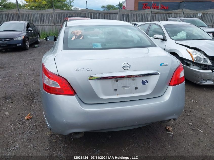 2010 Nissan Maxima 3.5 Sv VIN: 1N4AA5AP2AC828373 Lot: 12036424