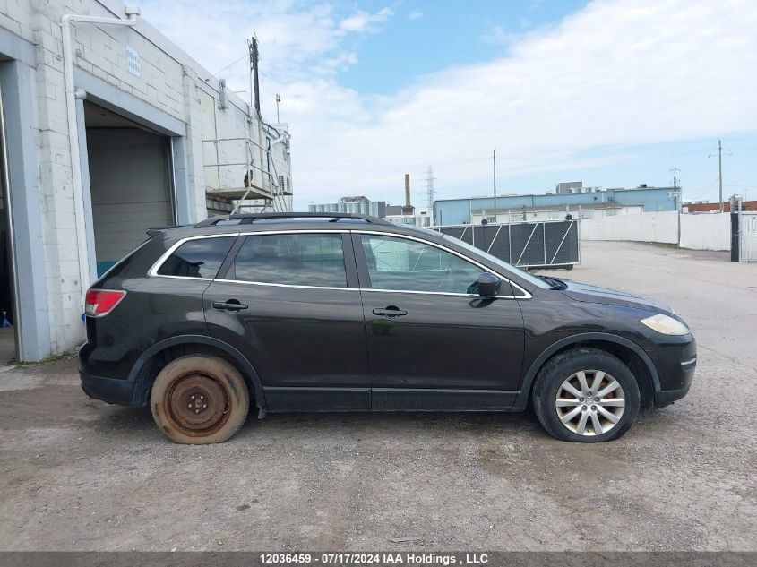 2009 Mazda Cx-9 VIN: JM3TB38A590177511 Lot: 12036459