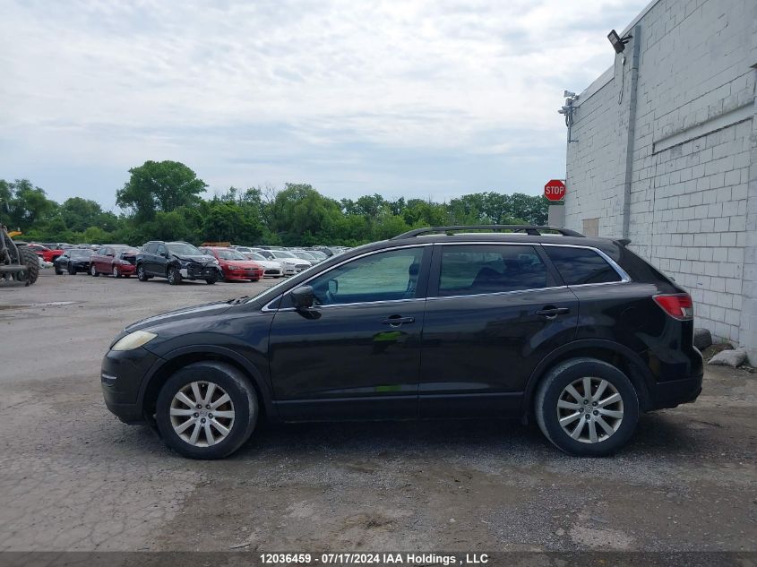 2009 Mazda Cx-9 VIN: JM3TB38A590177511 Lot: 12036459