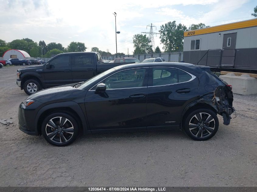 2020 Lexus Ux 250H VIN: JTHP9JBH5L2026002 Lot: 12036474