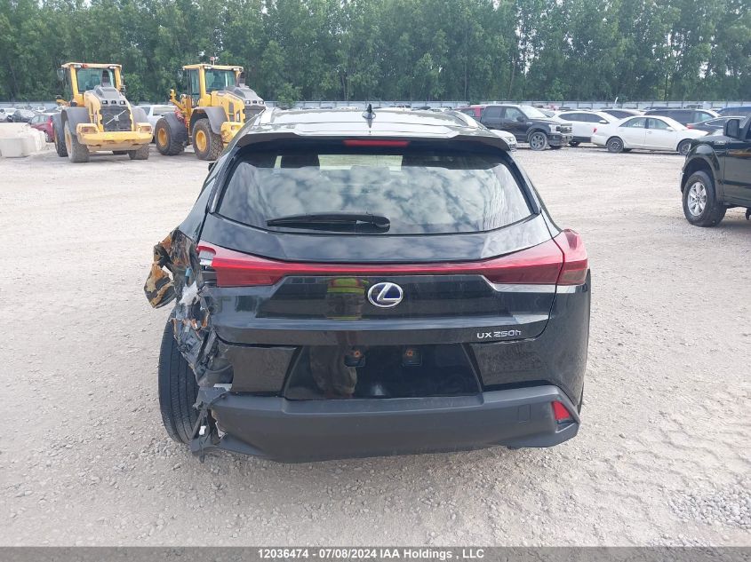 2020 Lexus Ux 250H VIN: JTHP9JBH5L2026002 Lot: 12036474