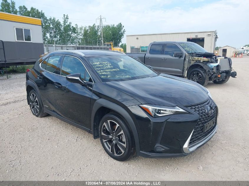 2020 Lexus Ux 250H VIN: JTHP9JBH5L2026002 Lot: 12036474