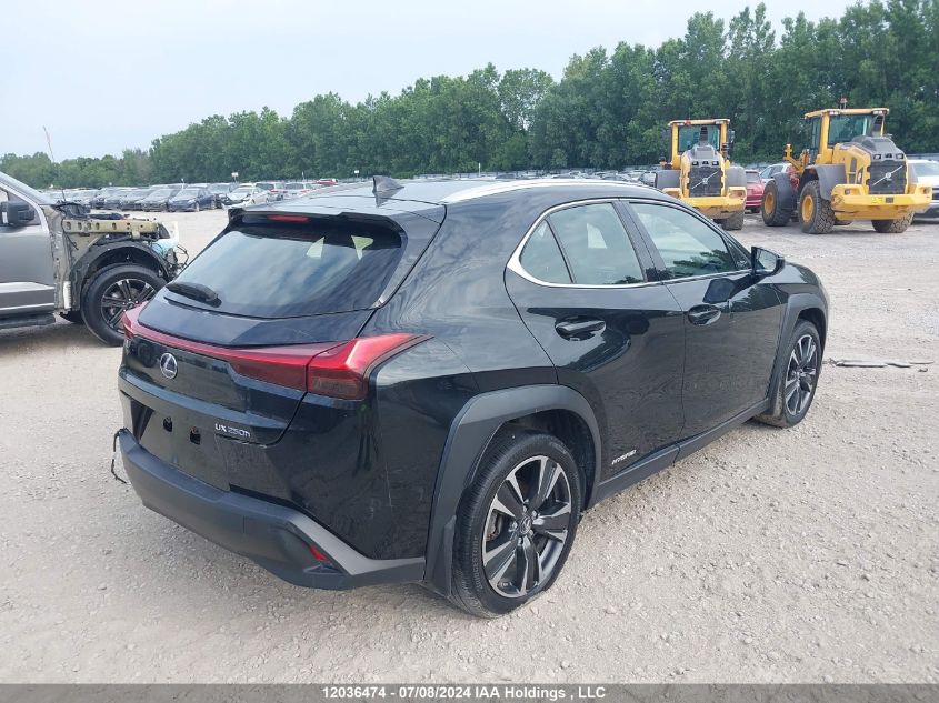 2020 Lexus Ux 250H VIN: JTHP9JBH5L2026002 Lot: 12036474