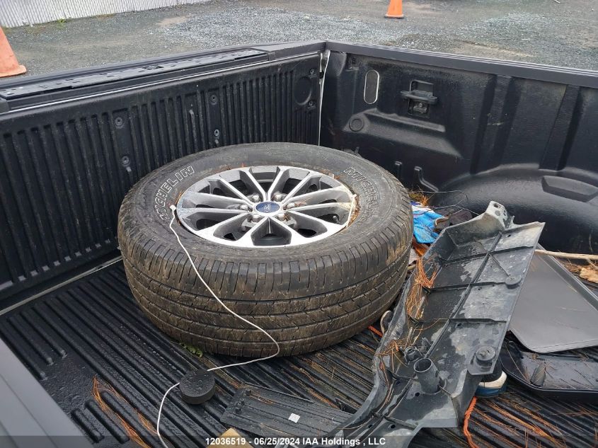 2019 Ford F-150 Xlt VIN: 1FTEW1EP0KFD35985 Lot: 12036519