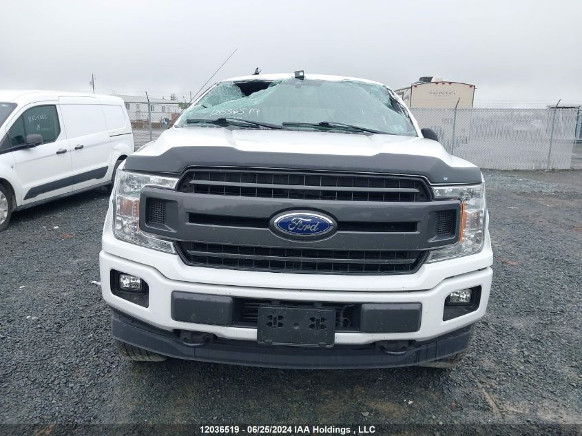 2019 Ford F-150 Xlt VIN: 1FTEW1EP0KFD35985 Lot: 12036519