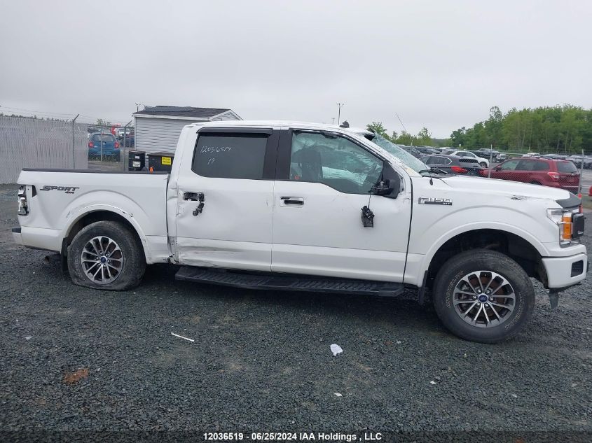 2019 Ford F-150 Xlt VIN: 1FTEW1EP0KFD35985 Lot: 12036519