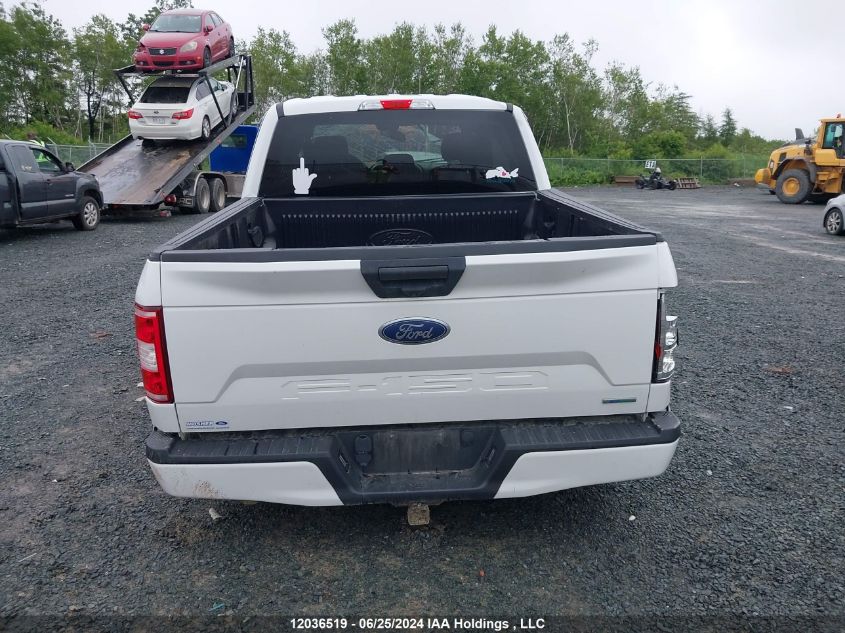 2019 Ford F-150 Xlt VIN: 1FTEW1EP0KFD35985 Lot: 12036519