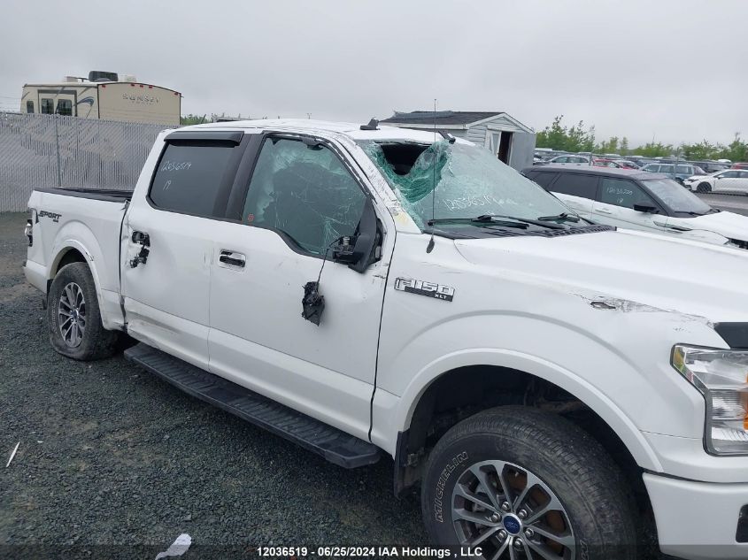 2019 Ford F-150 Xlt VIN: 1FTEW1EP0KFD35985 Lot: 12036519