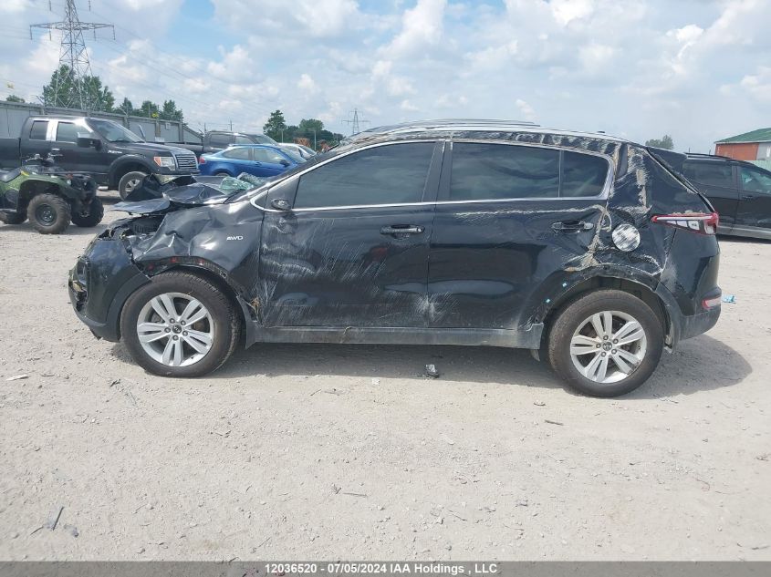 2017 Kia Sportage VIN: KNDPMCAC4H7148765 Lot: 12036520