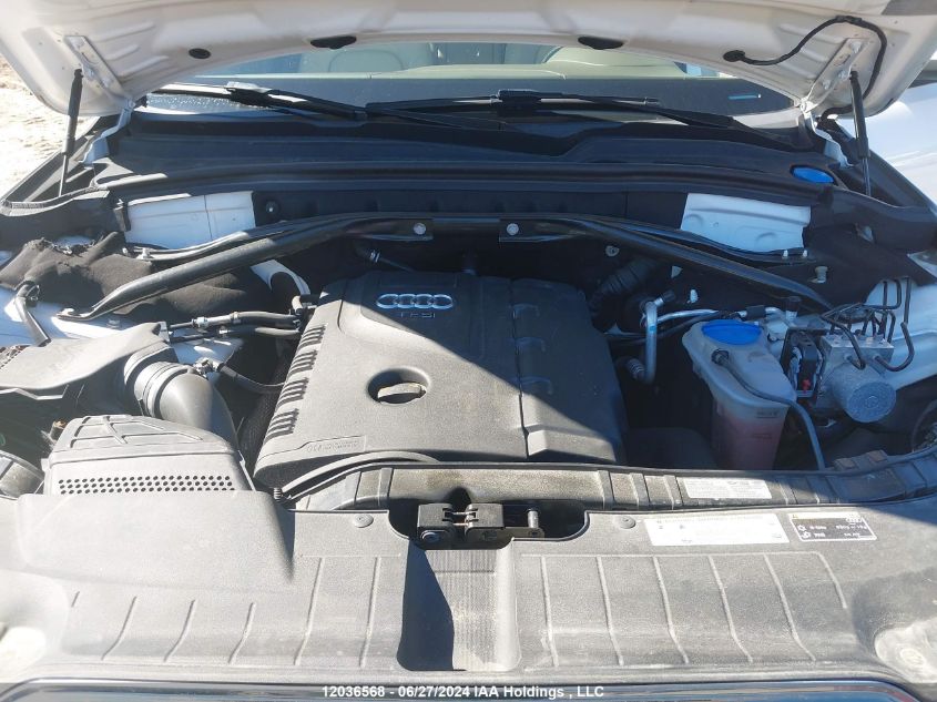 2013 Audi Q5 VIN: WA1CFCFP9DA013907 Lot: 12036568