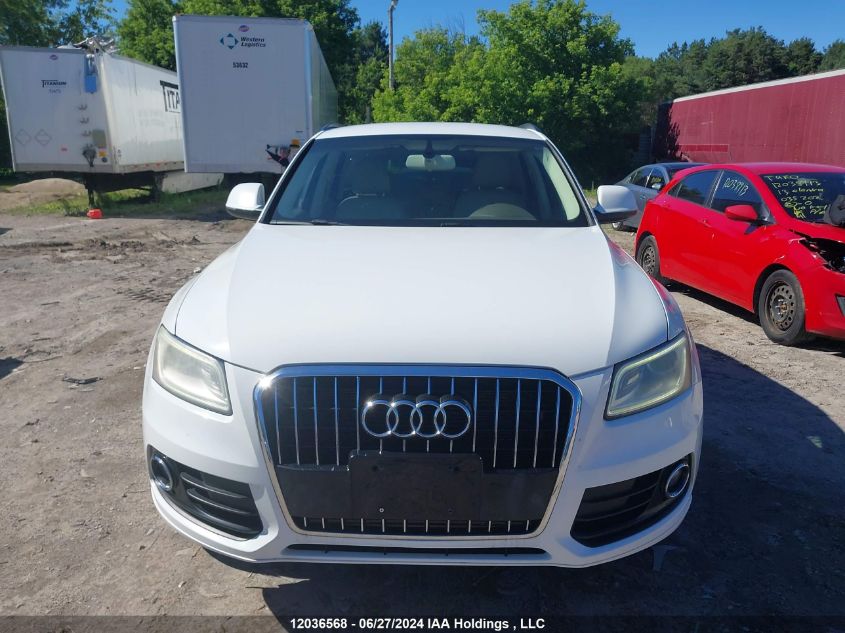 2013 Audi Q5 VIN: WA1CFCFP9DA013907 Lot: 12036568