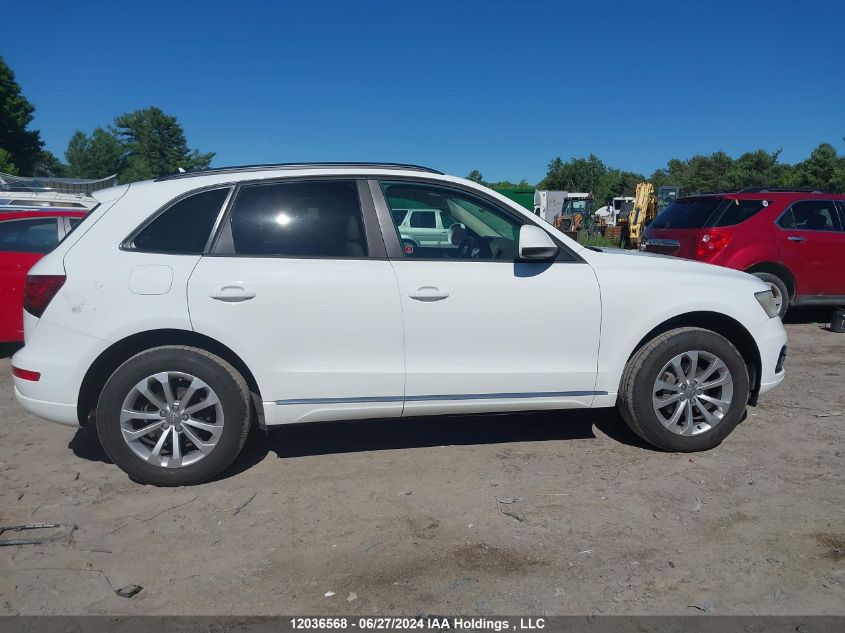 2013 Audi Q5 VIN: WA1CFCFP9DA013907 Lot: 12036568