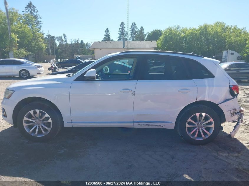 2013 Audi Q5 VIN: WA1CFCFP9DA013907 Lot: 12036568