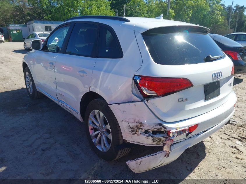 2013 Audi Q5 VIN: WA1CFCFP9DA013907 Lot: 12036568