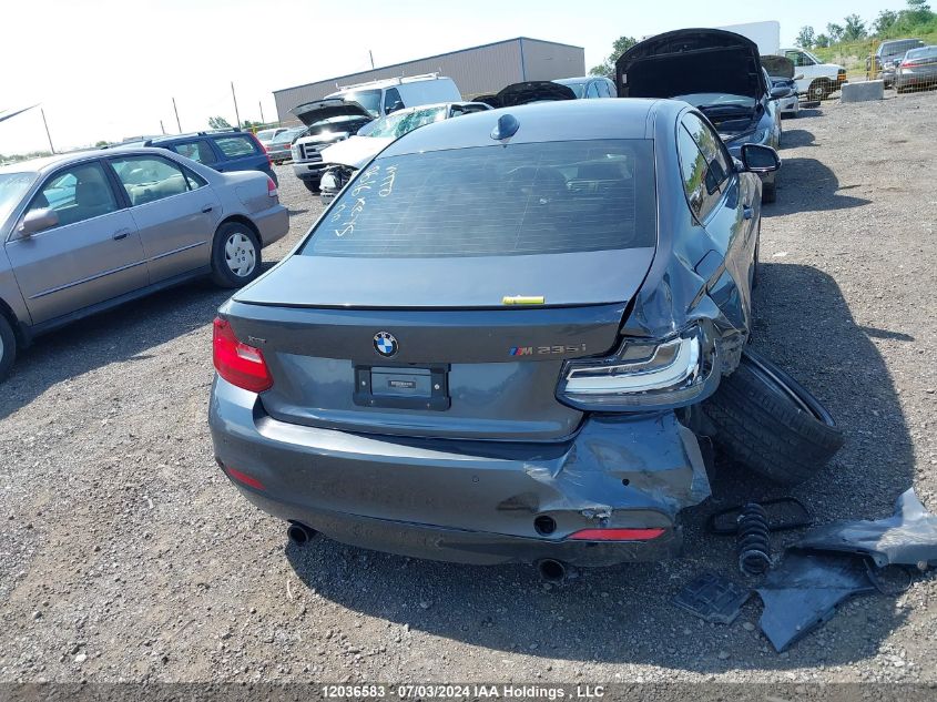 2015 BMW 2 Series VIN: WBA1J9C53FV371031 Lot: 12036583