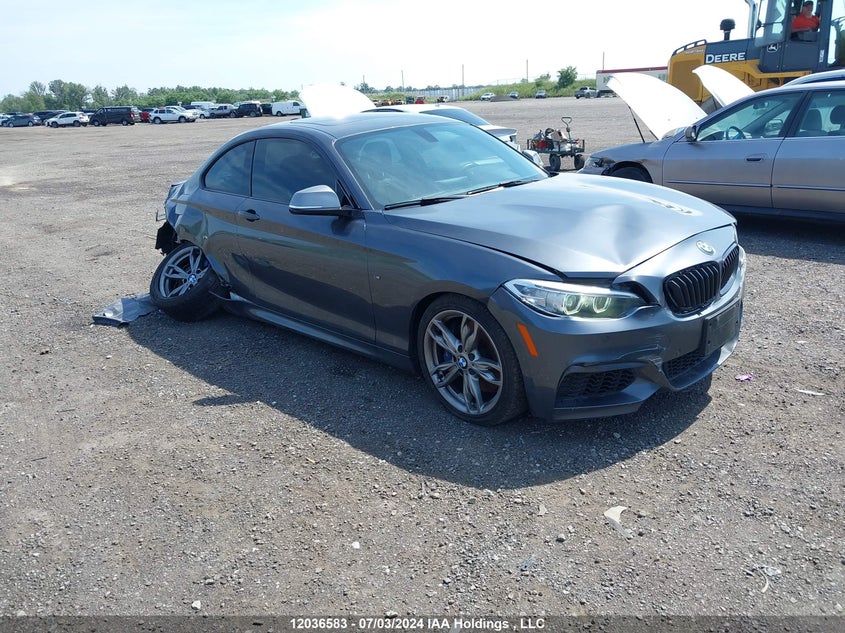 2015 BMW 2 Series VIN: WBA1J9C53FV371031 Lot: 12036583