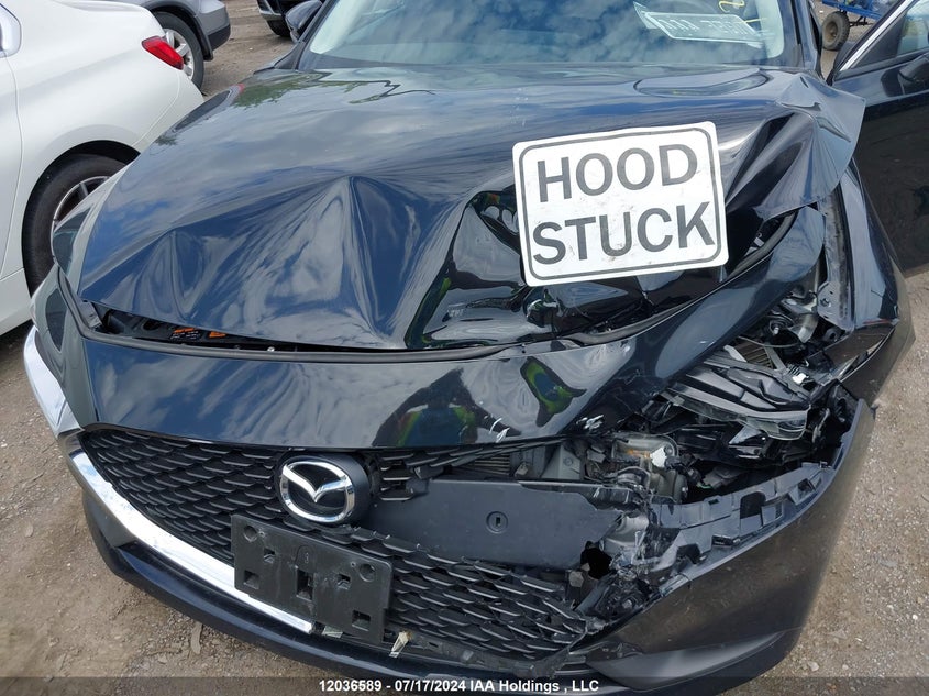 2019 Mazda Mazda3 VIN: JM1BPAB75K1121124 Lot: 12036589