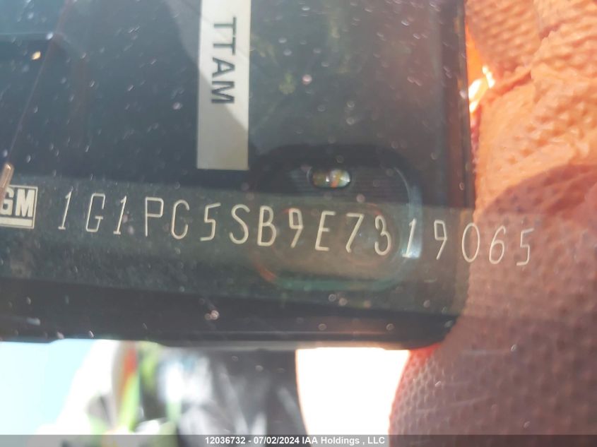 2014 Chevrolet Cruze Lt VIN: 1G1PC5SB9E7319065 Lot: 12036732