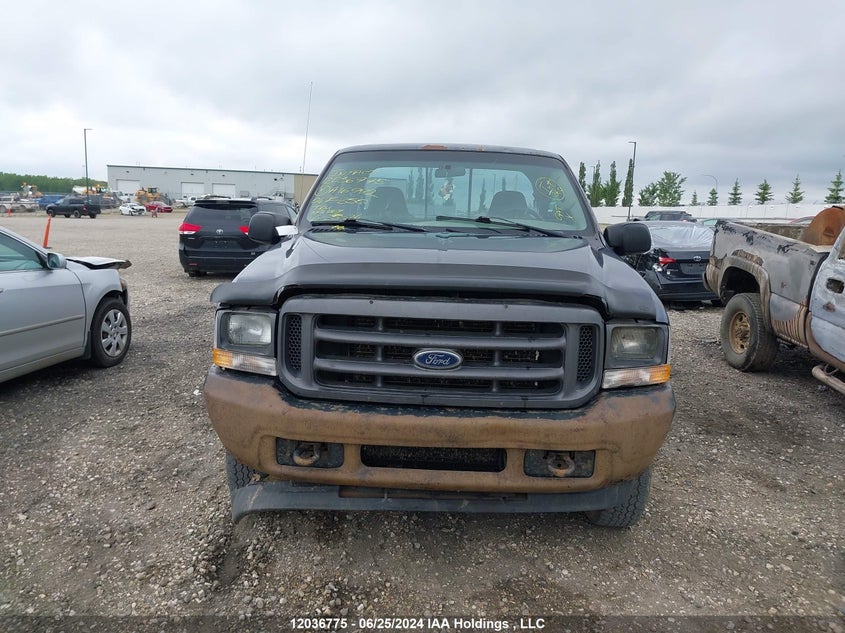 2004 Ford F250 Super Duty VIN: 1FTNX21L44EA16992 Lot: 12036775