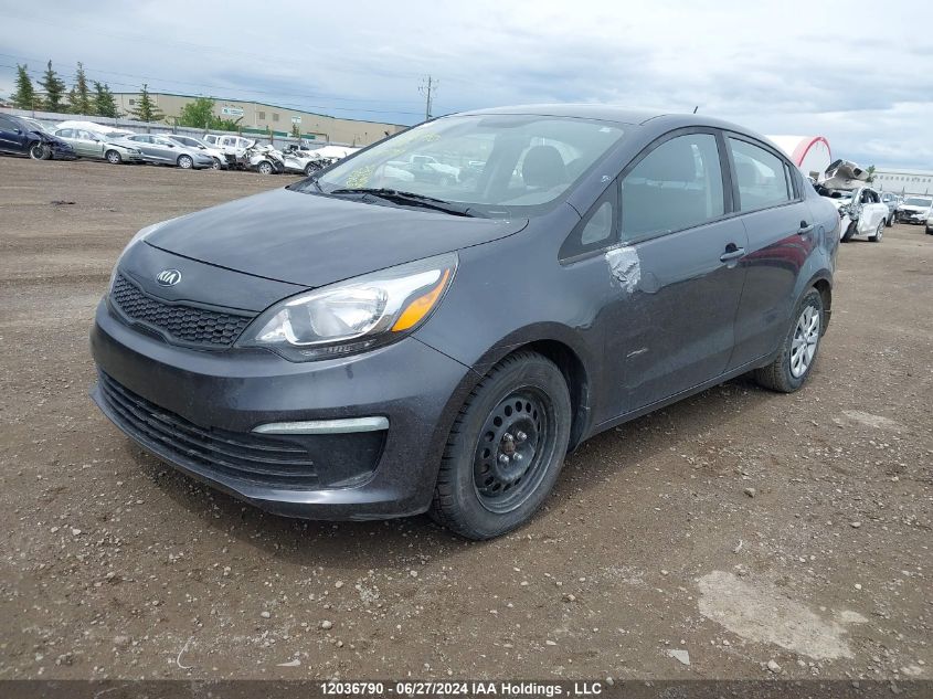 2017 Kia Rio VIN: KNADM4A3XH6070939 Lot: 12036790