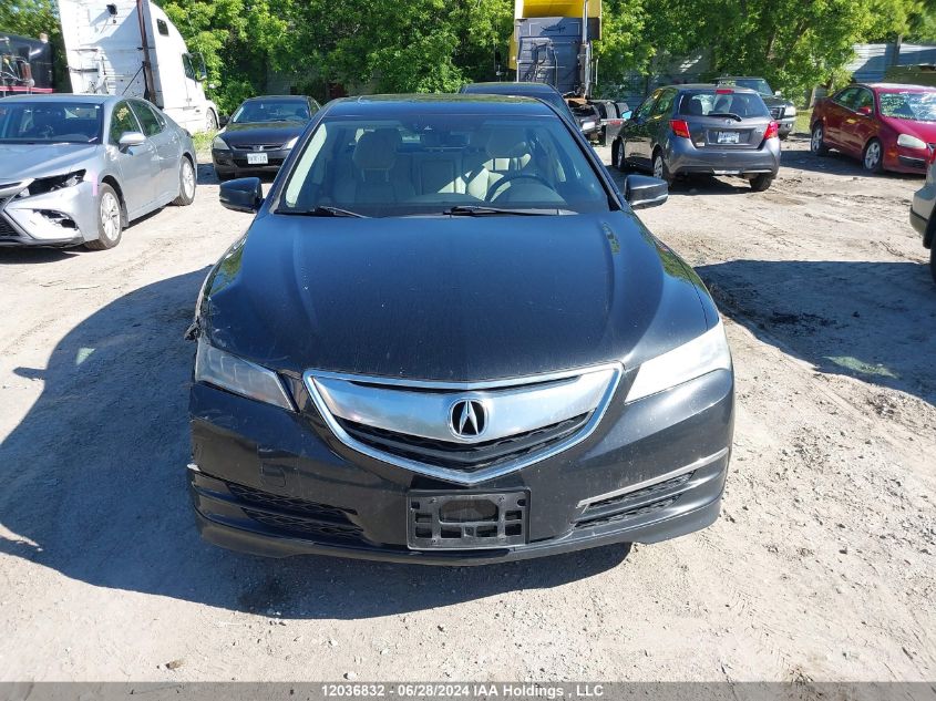 2016 Acura Tlx Tech VIN: 19UUB1F55GA800724 Lot: 12036832