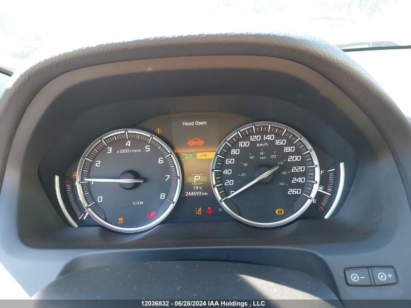 2016 Acura Tlx Tech VIN: 19UUB1F55GA800724 Lot: 12036832