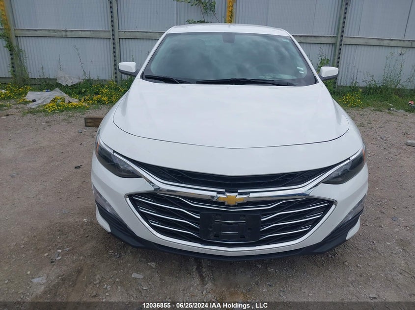2022 Chevrolet Malibu VIN: 1G1ZD5ST1NF177668 Lot: 12036855