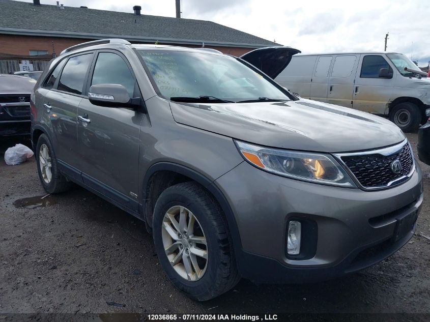 2014 Kia Sorento VIN: 5XYKTCA64EG501768 Lot: 12036865