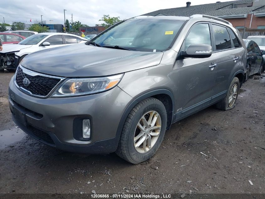 2014 Kia Sorento VIN: 5XYKTCA64EG501768 Lot: 12036865