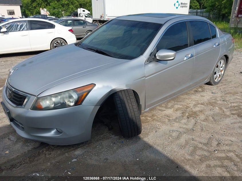 2010 Honda Accord Sedan VIN: 1HGCP3F8XAA801068 Lot: 12036868