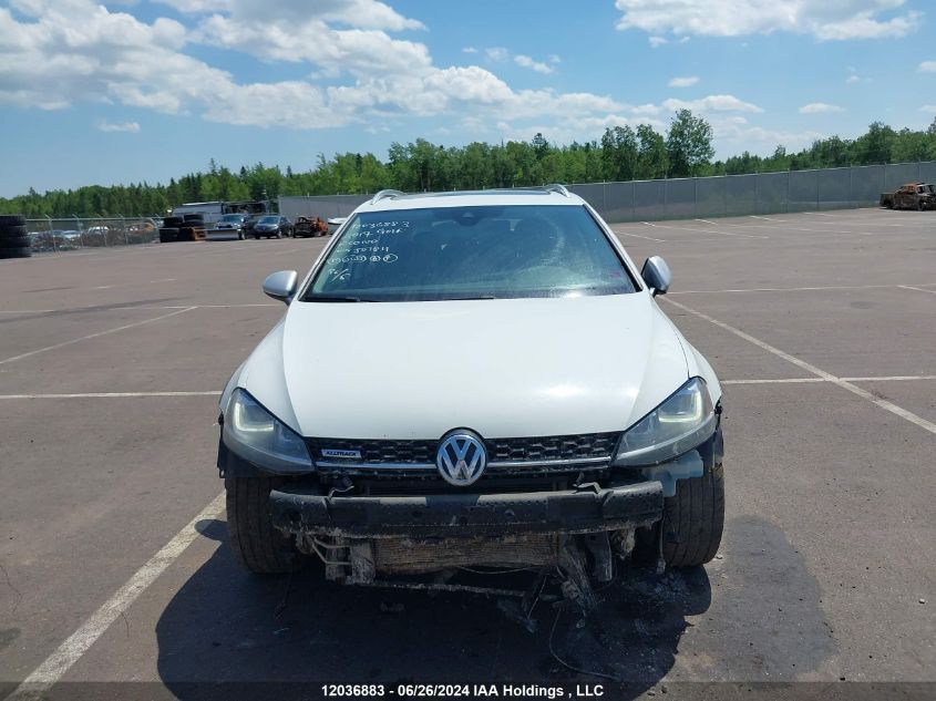 2017 Volkswagen Golf Alltrack VIN: 3VWH17AU6HM507811 Lot: 12036883