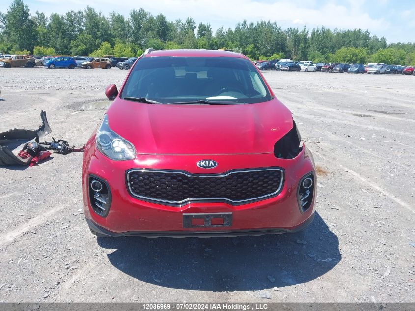 2018 Kia Sportage VIN: KNDPNCAC6J7359355 Lot: 12036969