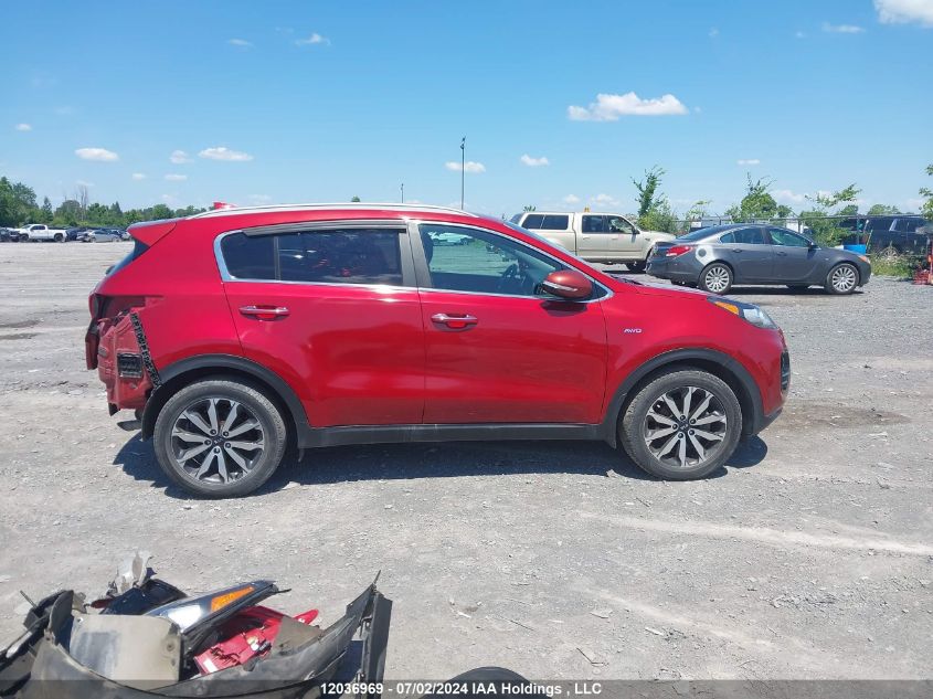 2018 Kia Sportage VIN: KNDPNCAC6J7359355 Lot: 12036969