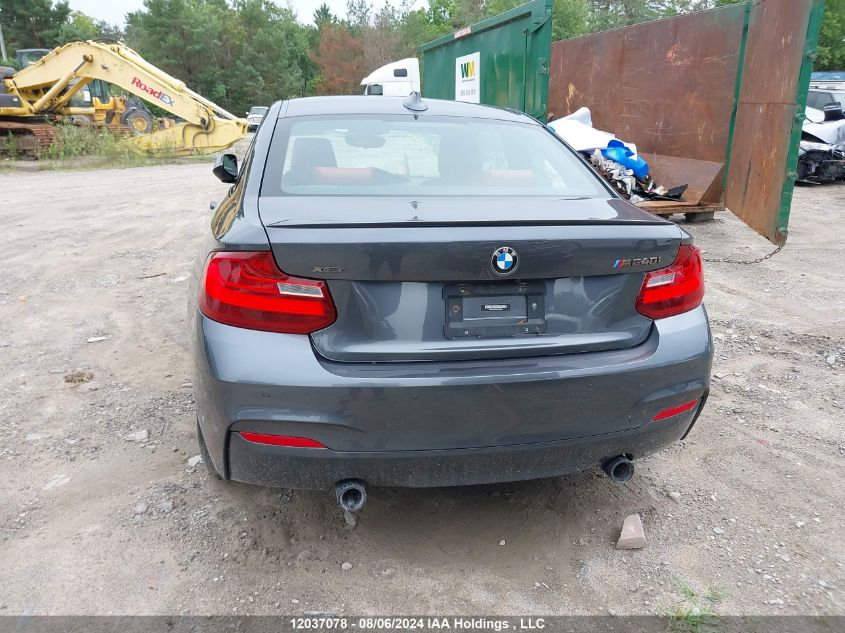 2017 BMW 2 Series VIN: WBA2G3C55HV640892 Lot: 12037078