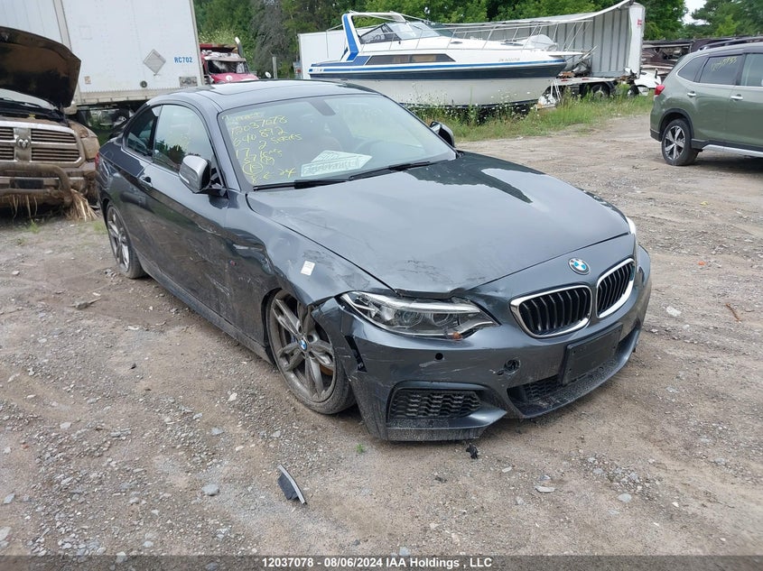 2017 BMW 2 Series VIN: WBA2G3C55HV640892 Lot: 12037078