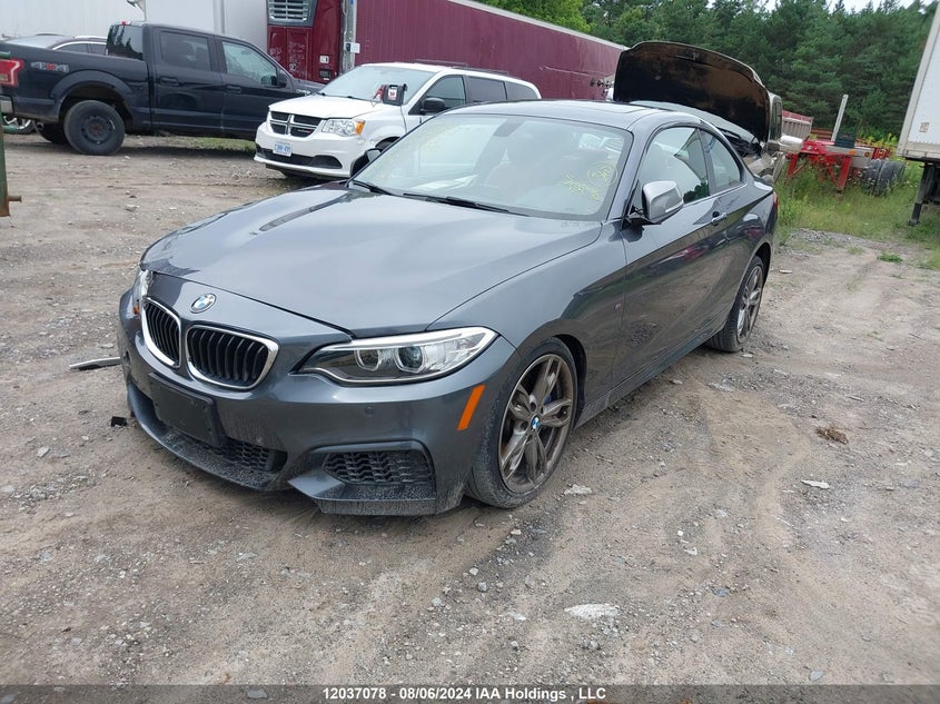 2017 BMW 2 Series VIN: WBA2G3C55HV640892 Lot: 12037078