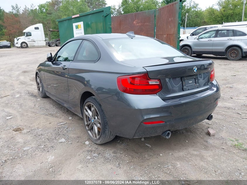 2017 BMW 2 Series VIN: WBA2G3C55HV640892 Lot: 12037078