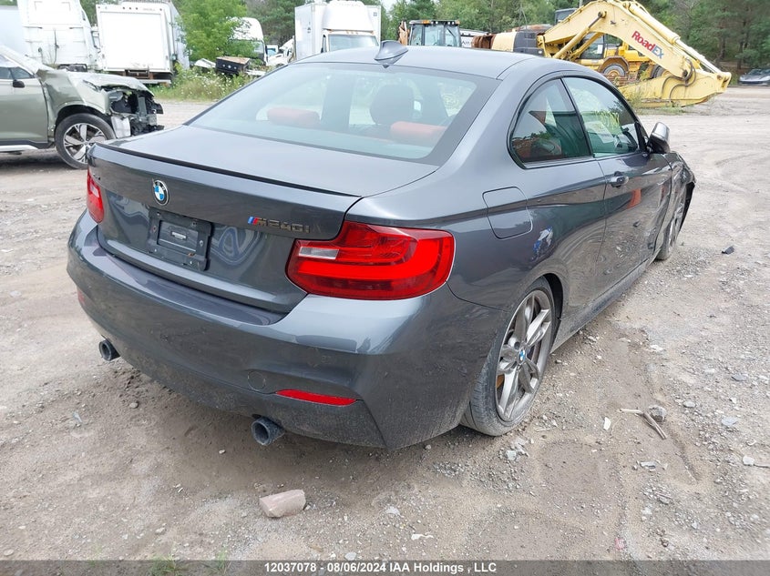 2017 BMW 2 Series VIN: WBA2G3C55HV640892 Lot: 12037078