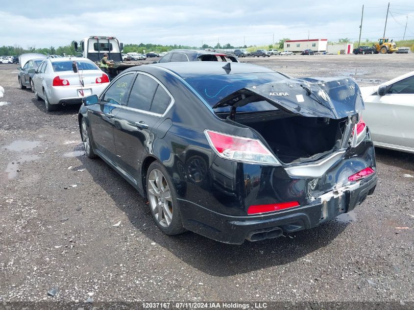 2009 Acura Tl VIN: 19UUA96569A801725 Lot: 12037167