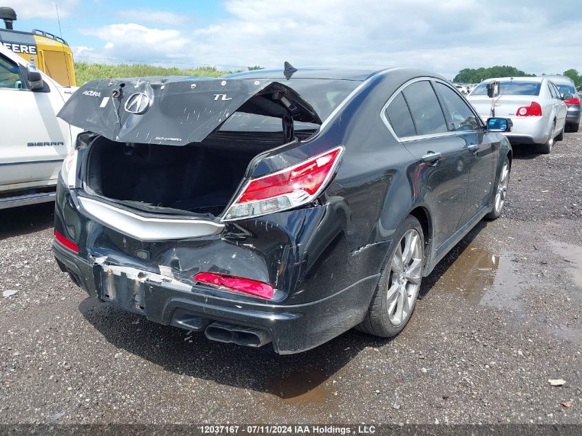 2009 Acura Tl VIN: 19UUA96569A801725 Lot: 12037167