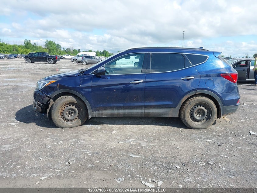 2017 Hyundai Santa Fe Sport 2.4 Premium VIN: 5XYZUDLB8HG437279 Lot: 12037186