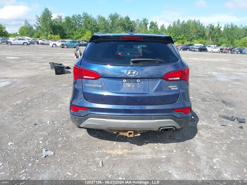 2017 Hyundai Santa Fe Sport 2.4 Premium VIN: 5XYZUDLB8HG437279 Lot: 12037186